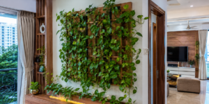 money plant